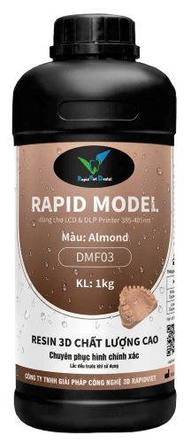 Rapid_Model_New